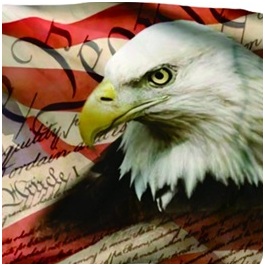 patriotic eagle head with red white and blue feathers